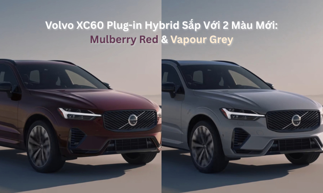 Volvo XC60 Plug-in Hybrid Sắp Về Việt Nam Với 2 Màu Mới: Mulberry Red & Vapour Grey